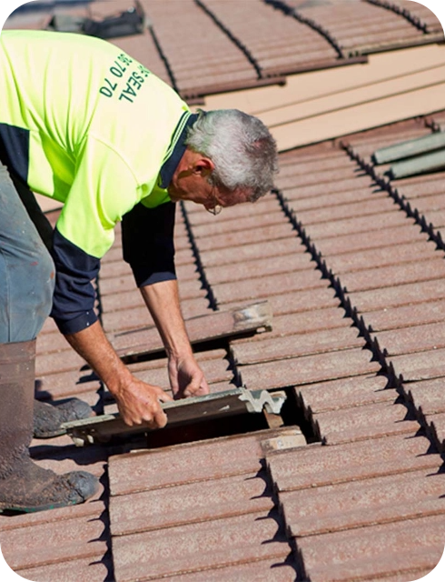 Tile Inspection and Replacement