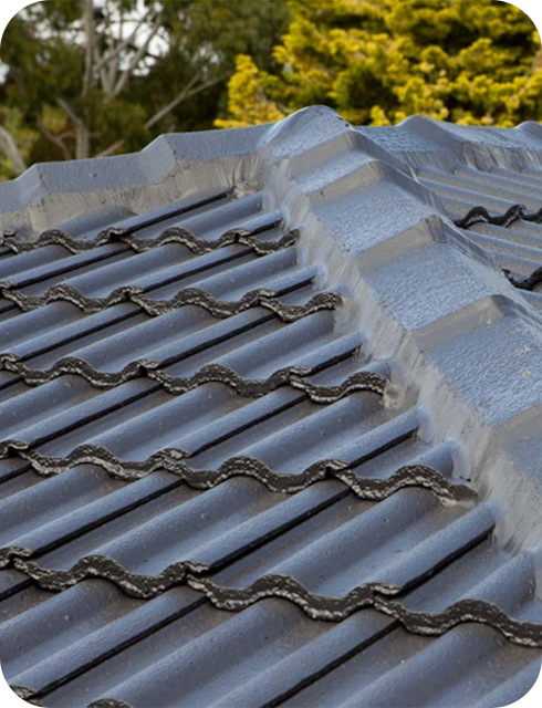 Top Coats for Enhanced Protection