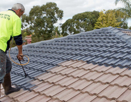 Specialist application