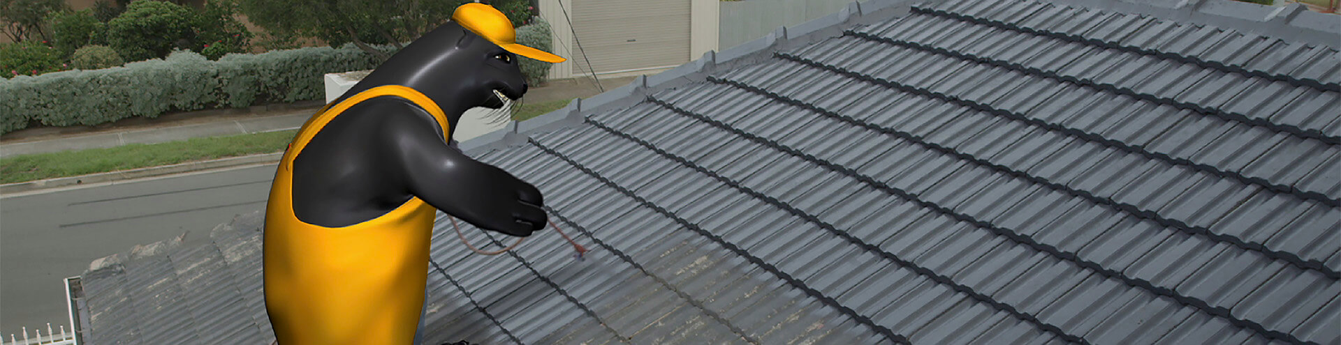 Seal Spraying Tiles